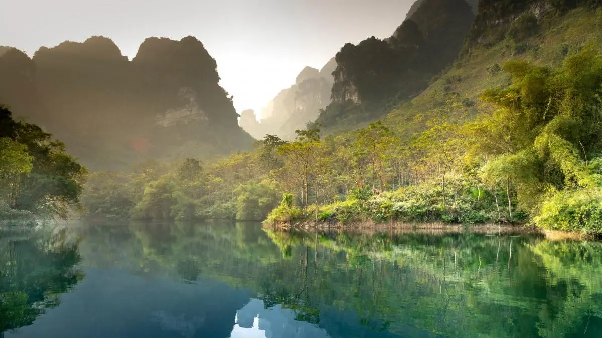 网络化节能稳定性